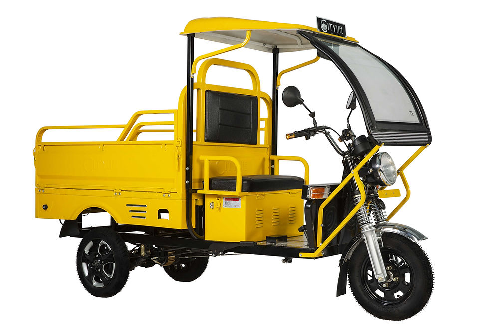 https://e-vehicleinfo.com/evdekho/evehicle/dilli-electric-auto-xv-max-loader/