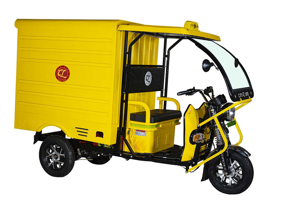 https://e-vehicleinfo.com/evdekho/evehicle/dilli-electric-auto-loader-closed-body/