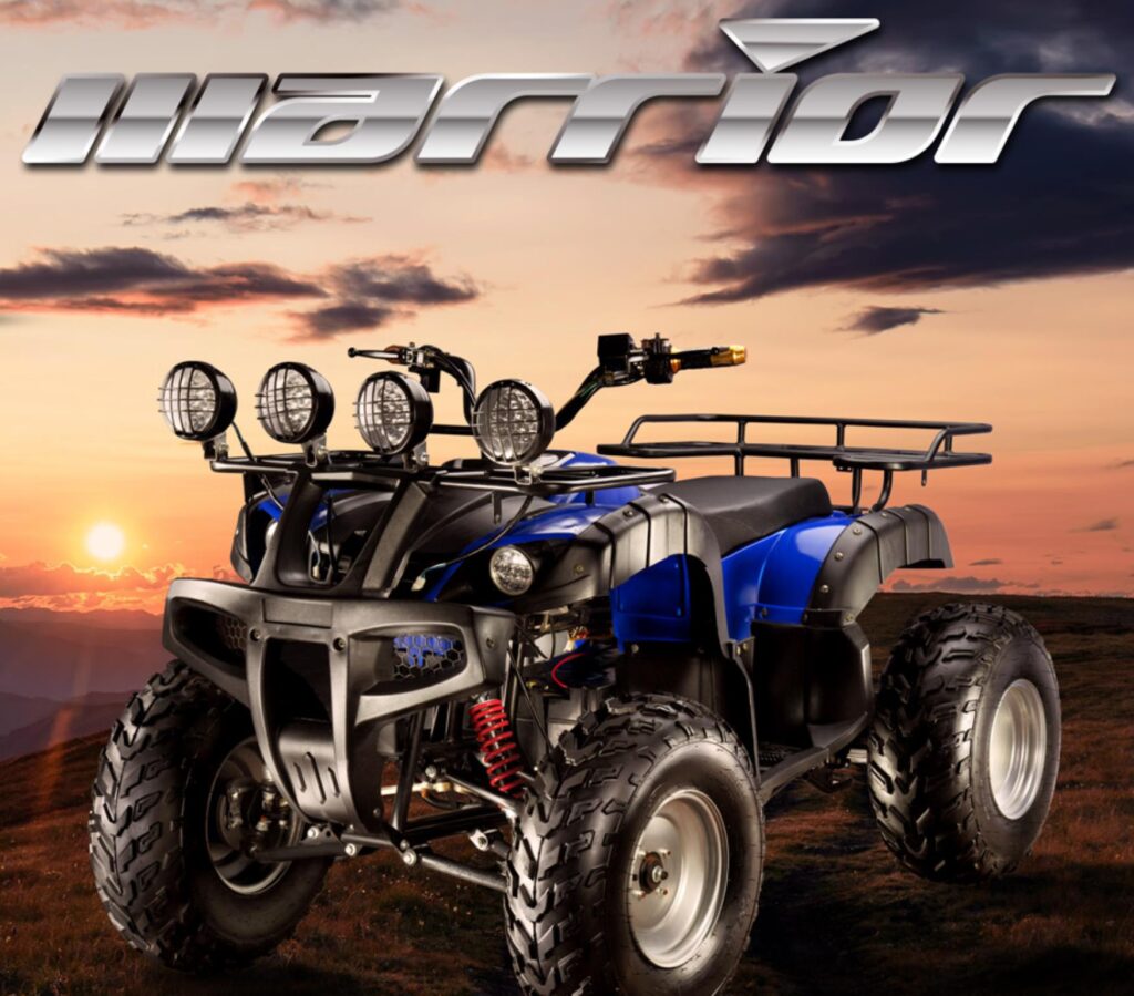 https://e-vehicleinfo.com/evdekho/evehicle/evolet-warrior/