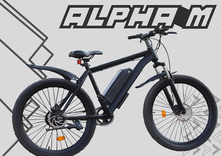 https://e-vehicleinfo.com/evdekho/evehicle/virtus-motors-alpha-m/