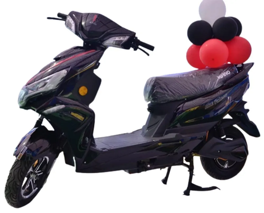 https://e-vehicleinfo.com/evdekho/evehicle/warivo-motor-ace-falcon/