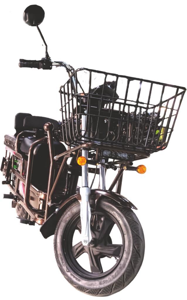 https://e-vehicleinfo.com/evdekho/evehicle/evolet-india-dhanno/